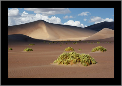 Nevada Scenery