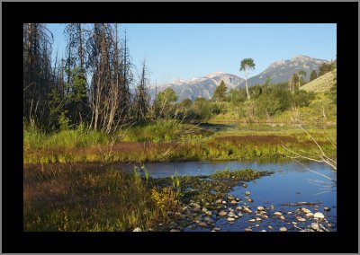 Sunrise at the Moose Pond #2