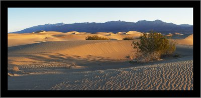 Death Valley Dunes #2 (pano)