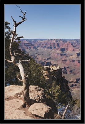 Grand Canyon South Rim #50