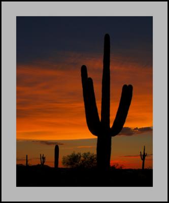 Arizona Sunsets