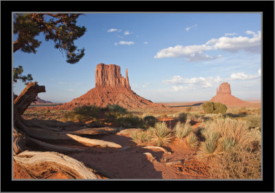 Monument Valley #a4