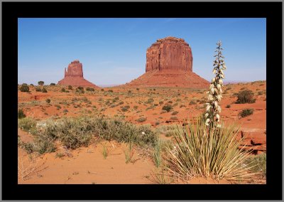 Monument Valley #11