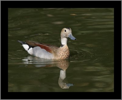 Male #4