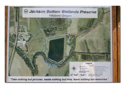 Jackson Bottom Wetlands