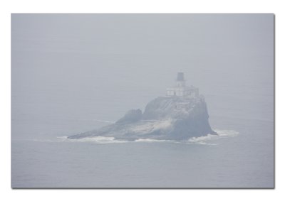 Terrible Tilly Still in the Fog.jpg