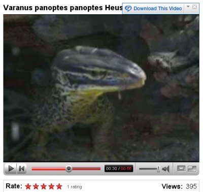 V panoptes panoptes 2.jpg