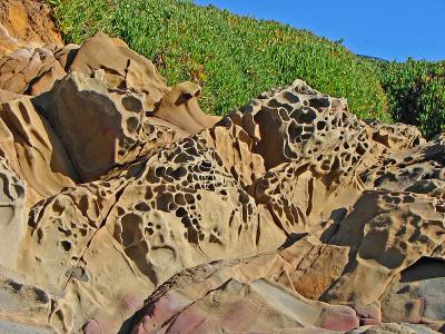 Wind Carvings