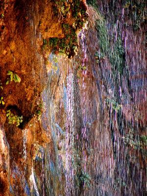 Weeping Rock Colors 2