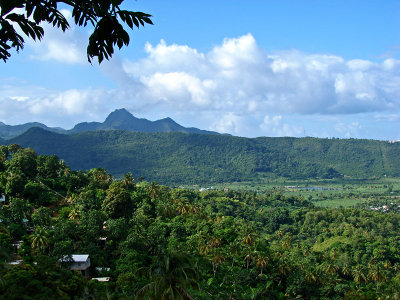 Banana Plantations and Mountains