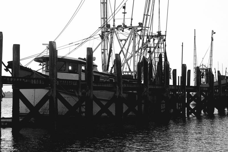 CRW_3346_RT8bw.jpg