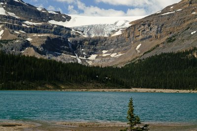 Bow Lake and Bow Glacier #2