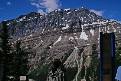 From the Peyto Lake viewpoint