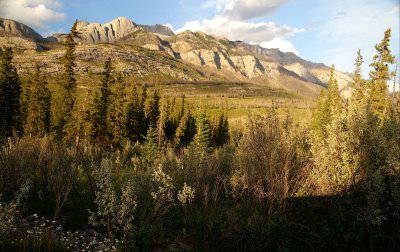 Mountains Northeast from Jasper