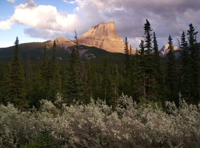 Roche Miette from the Yellowhead Highway