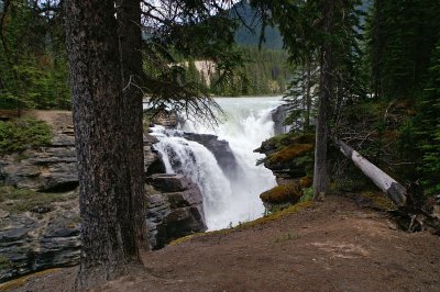 Athabasca Falls #3