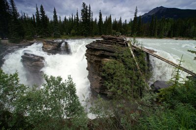 Athabasca Falls #4