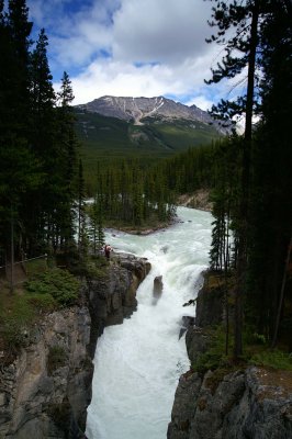 Sunwapta Falls #6