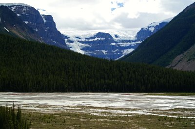 Mt. Kitchener, Stutfield Glacier and Sunwapta River