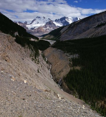 Mount Athabasca and Sunwapta River #1