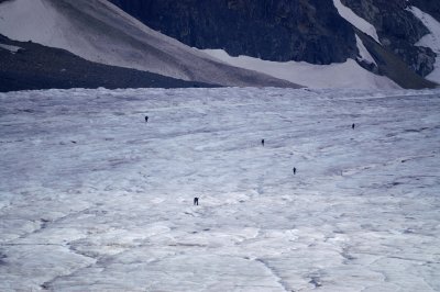 HIkers braving the glacier