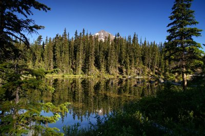 Trees reflected in Cavell Lake