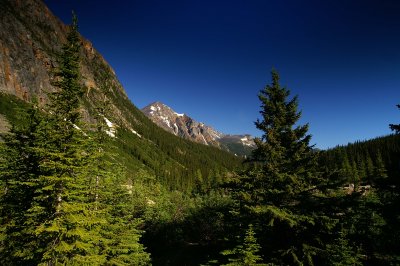 The view back down from the Mt. Edith Cavell trail