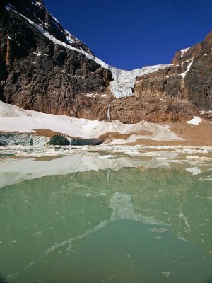 Angel Glacier reflected in glacial pond
