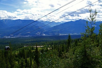 Grizzly Bear Refuge - Kicking Horse