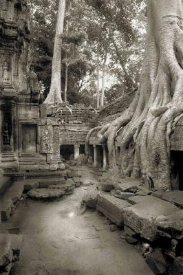  Angkor Complex