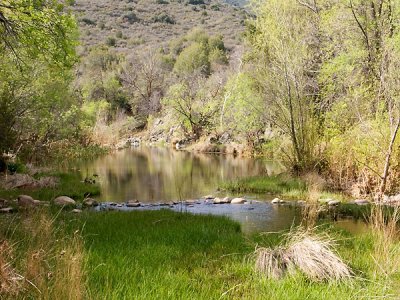 Cave Creek Skunk Tank Hike