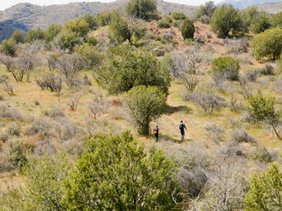 Cave Creek Skunk Tank Hike