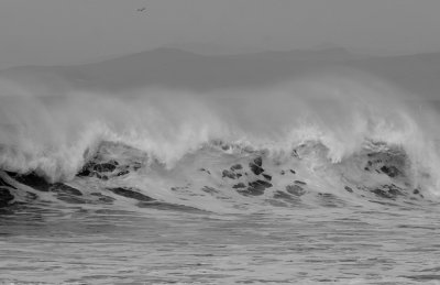 Wave_108.jpg