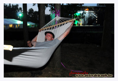 reggae festival