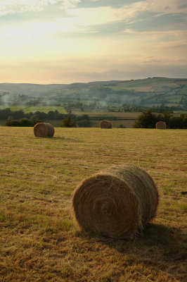 View toward Bradfield
