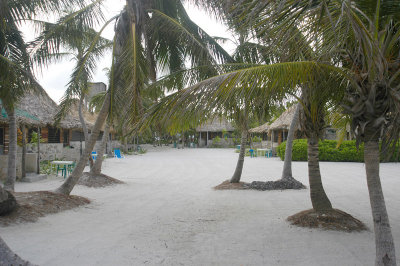 Costa de Cocos