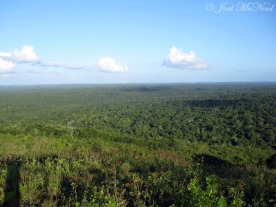 View from escarpment near Chan Chich