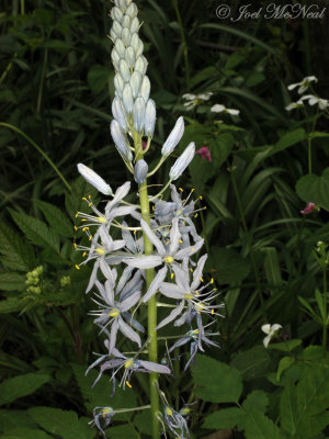 g3/76/731076/3/95647627.5xN5pnoA.jpg
