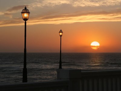 IMG_1879.jpg