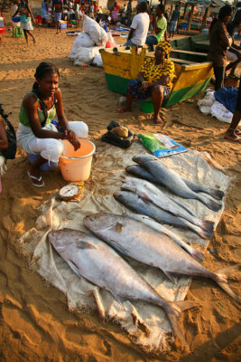Traditional Fish Market (3)