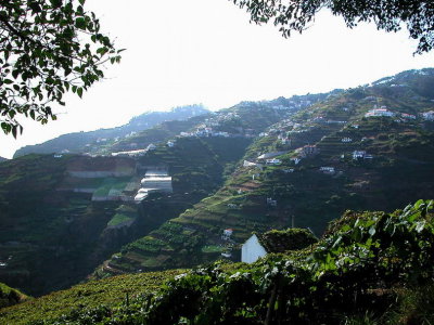 Madeira2003-112.jpg