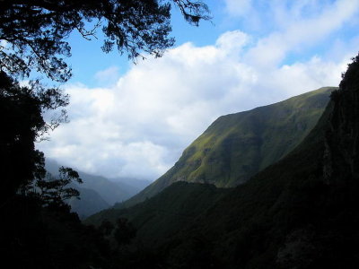 Madeira2003-223.jpg
