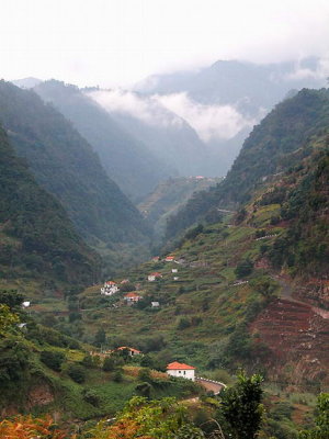 Madeira2003-450.jpg