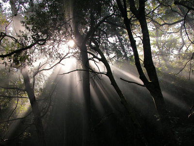 DSCNs310.jpg