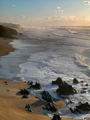 DSCNr519.jpg