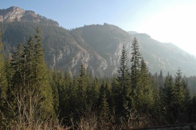On the Way to Morskie Oko 5
