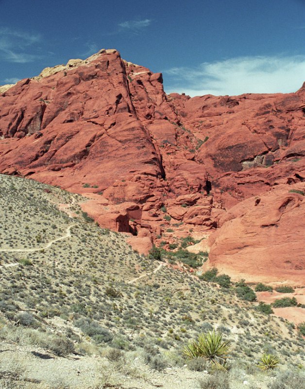 Red Rock Canyon, NV