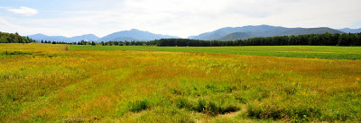 The Adirondack range