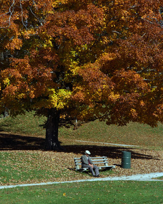 old man at Morgan's Park