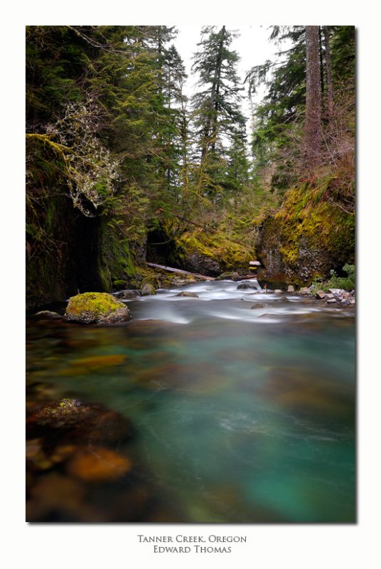 Tanner Creek